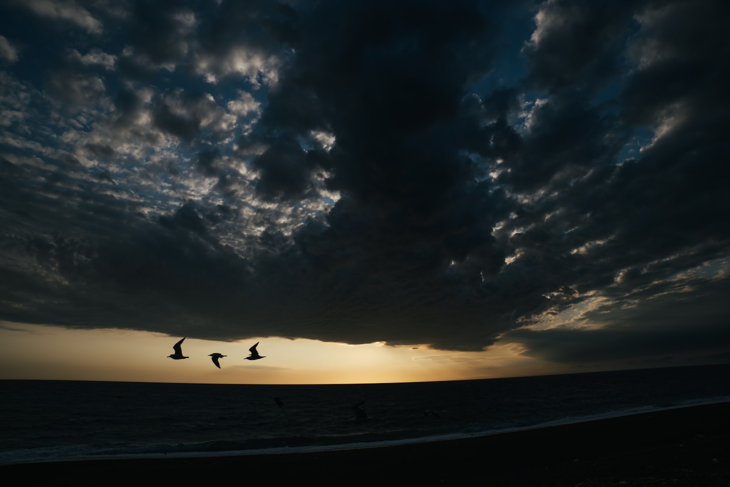How Education Can Empower Highly Sensitive Individuals